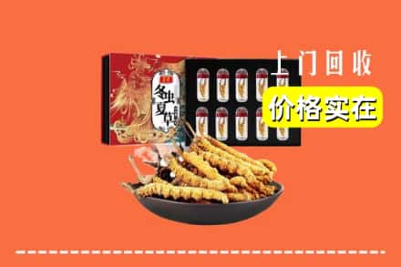 鞍山市铁东回收冬虫夏草