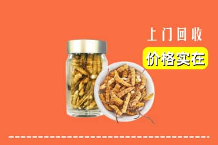 鞍山市铁东回收散虫草