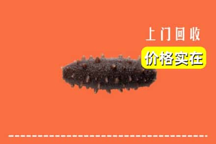 鞍山市铁东回收海参